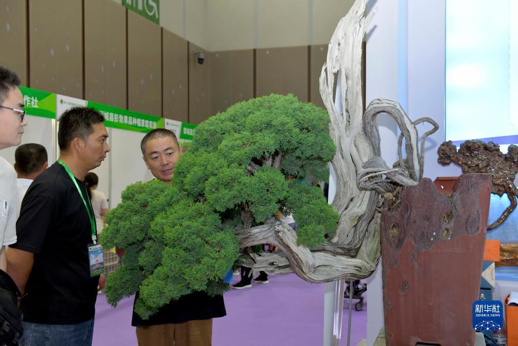 百老汇电子网址